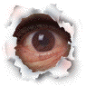 oko.gif (19967 bytes)